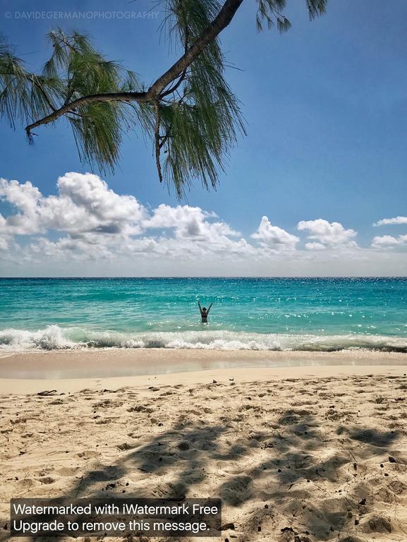 230 Gg Rockley Barbados Lejlighed Bridgetown Eksteriør billede